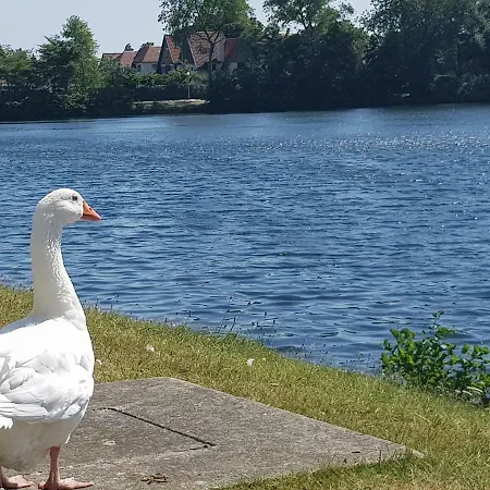 Apartamento Duinbergen Laguna